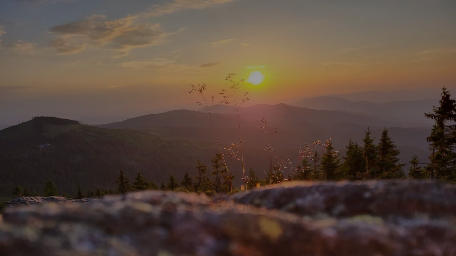 Bannerbild | zur Startseite